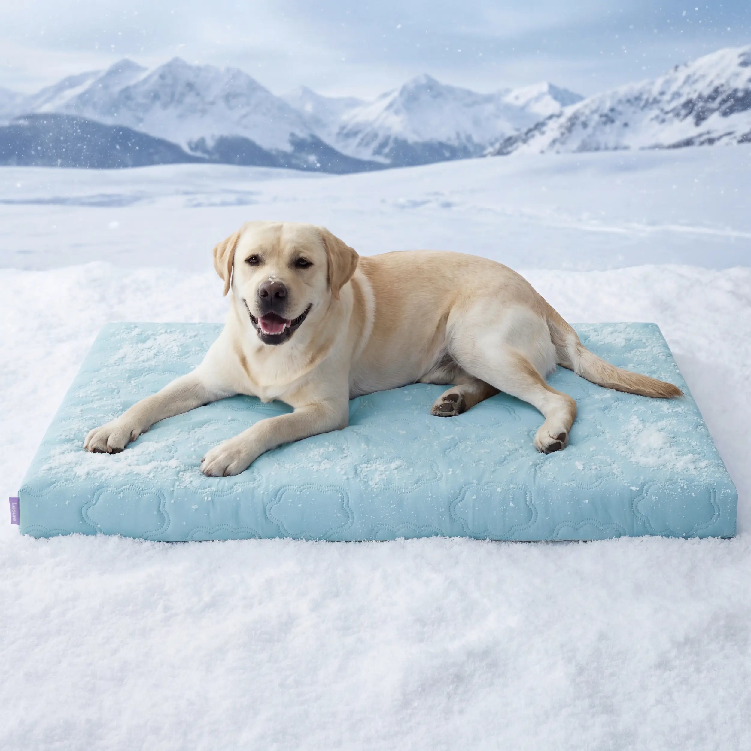 Bedsure Cooling Thin & Thick Mat for Dogs – Q-MAX>0.4 Washable Pet Cooling Pad, No Gel, No Electric, Non-Slip Summer Crate Bed for Large Dogs