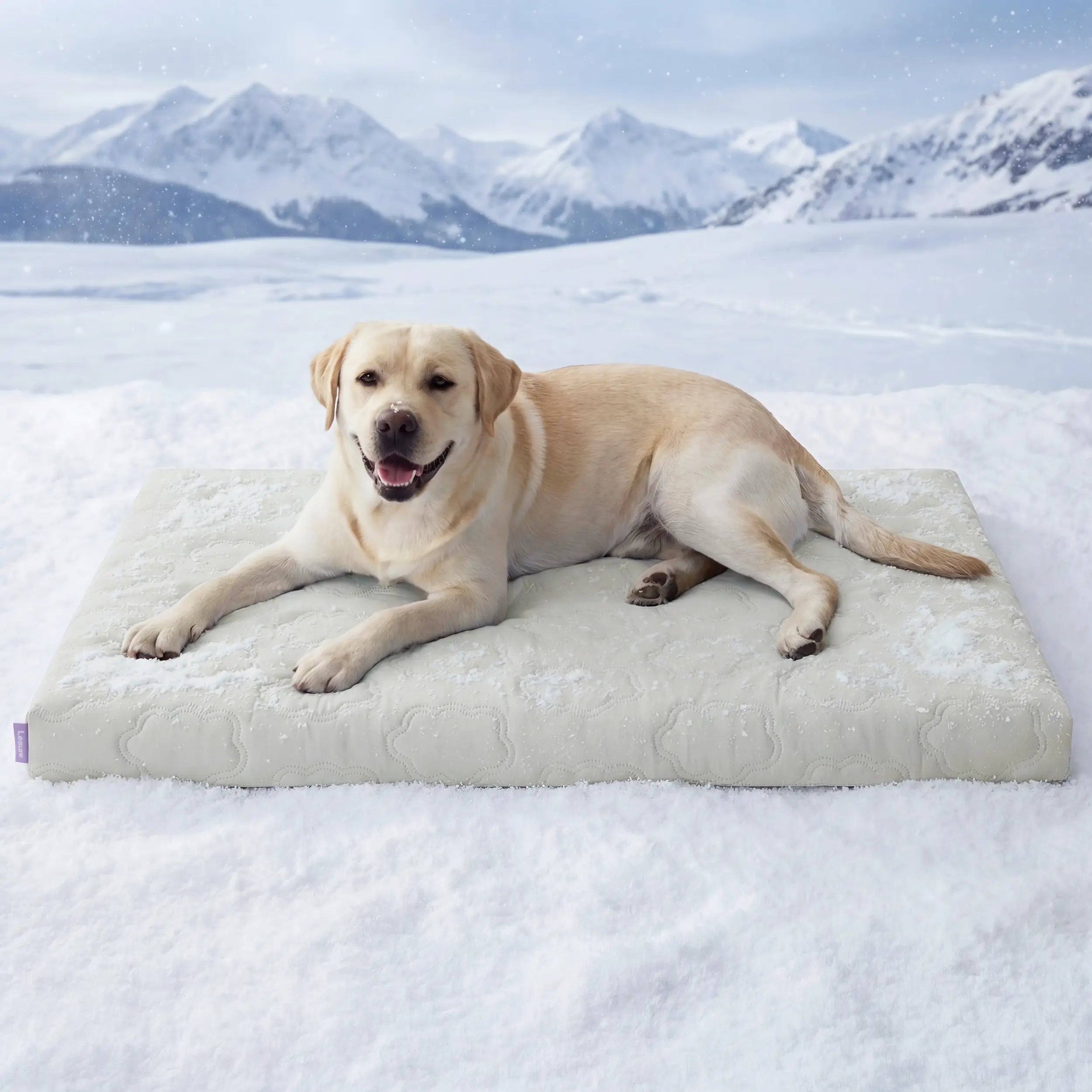 Bedsure Cooling Thin & Thick Mat for Dogs – Q-MAX>0.4 Washable Pet Cooling Pad, No Gel, No Electric, Non-Slip Summer Crate Bed for Large Dogs